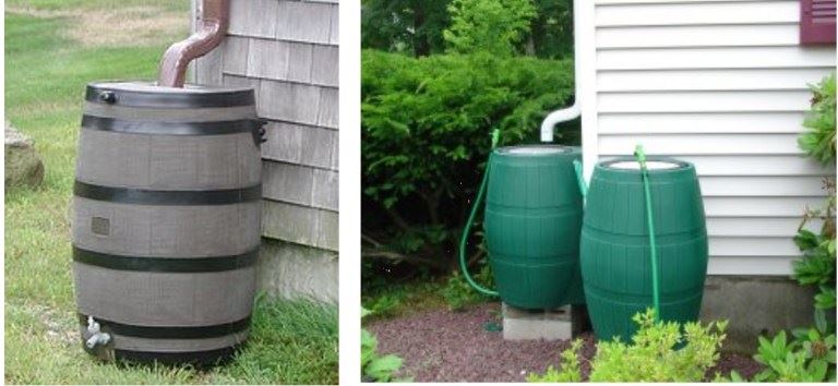 rain barrel