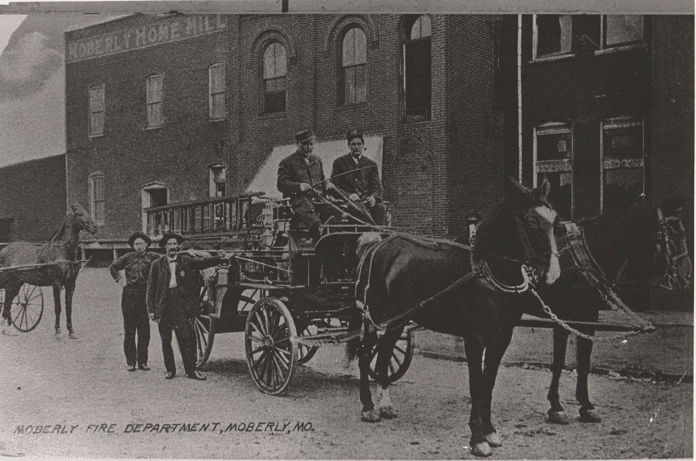 Horses Buck and Mack